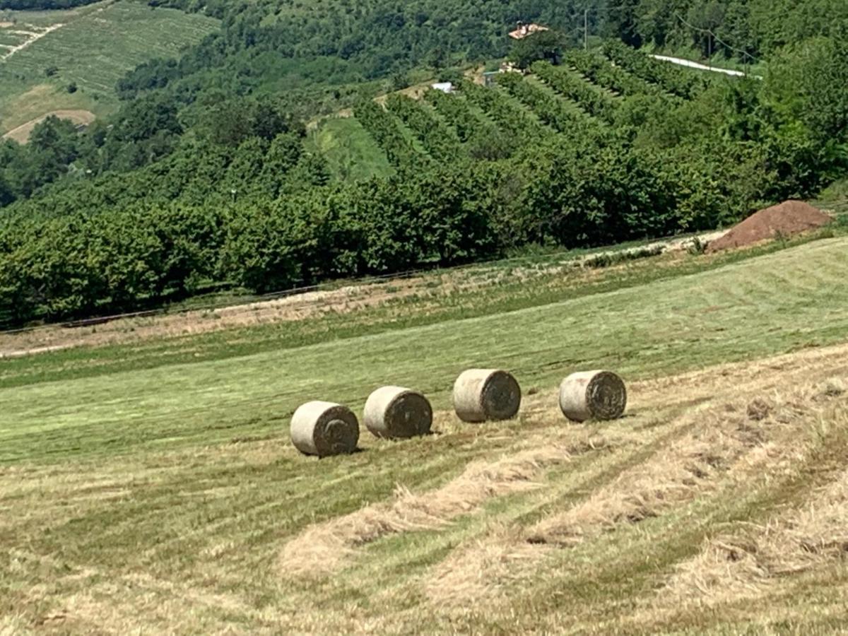 La Luce Delle Colline Bed & Breakfast Serravalle delle Langhe Dış mekan fotoğraf